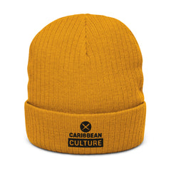 Rebellion Ribbed Beanie