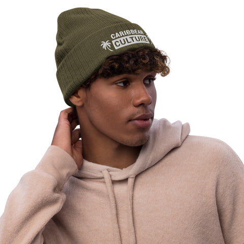 Paradise Ribbed Beanie